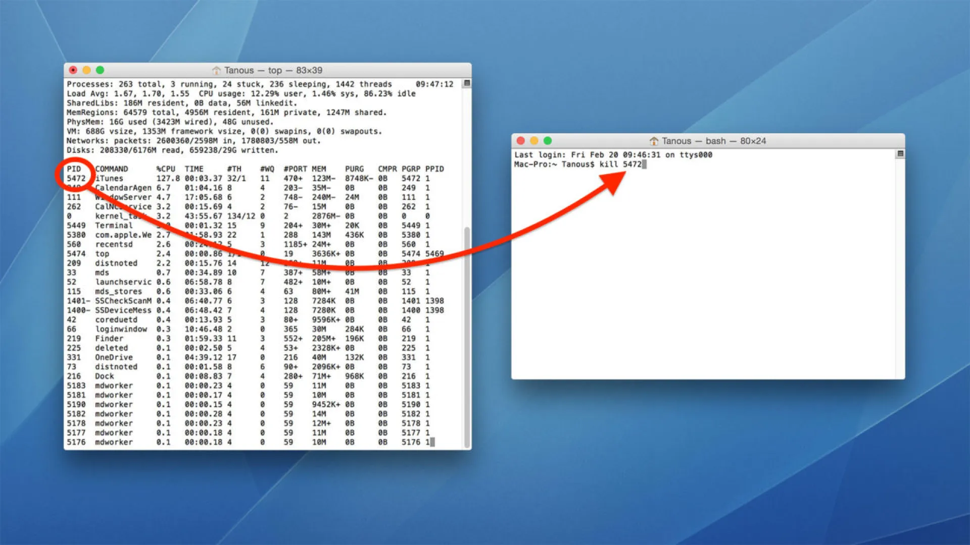 forcer à quitter le terminal de l'application