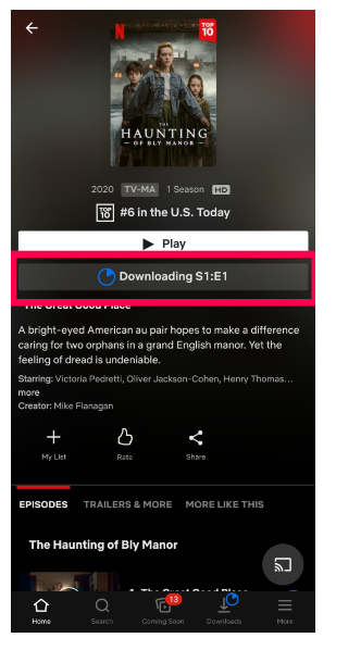 App Netflix: opzione di download