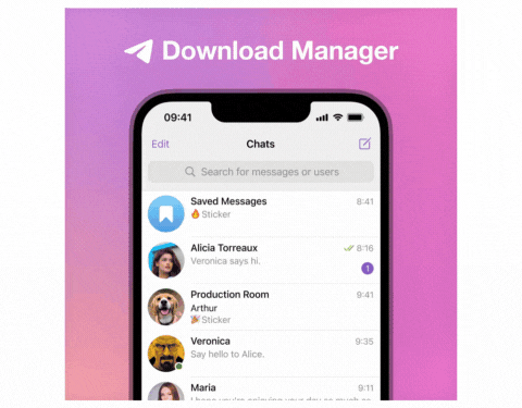 download manager in the telegram app