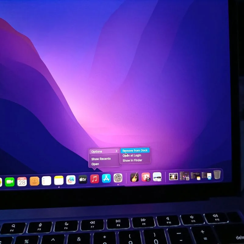 remove dock icons on macos