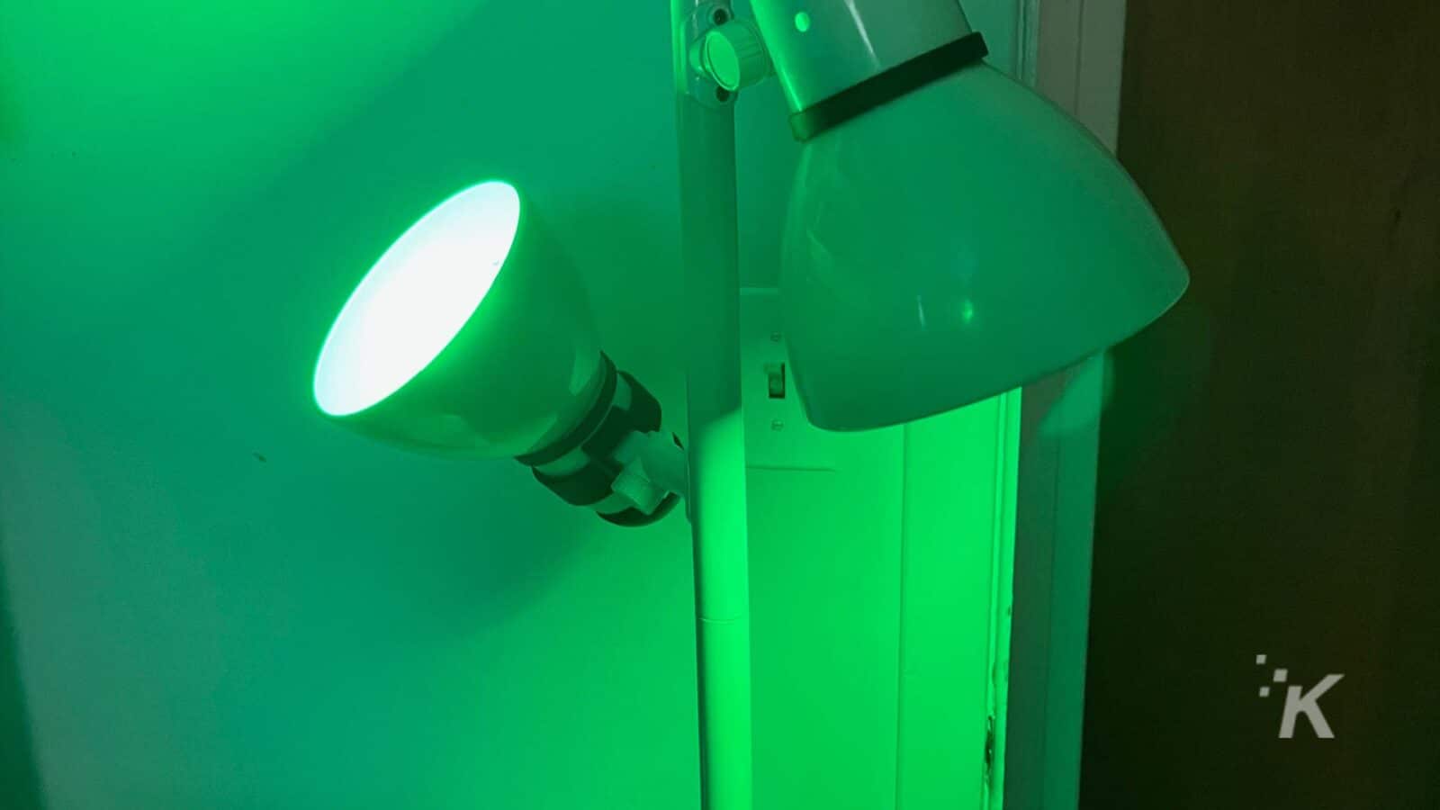 Die grüne Lampe verbreitet ein warmes Licht im gesamten Innenraum.