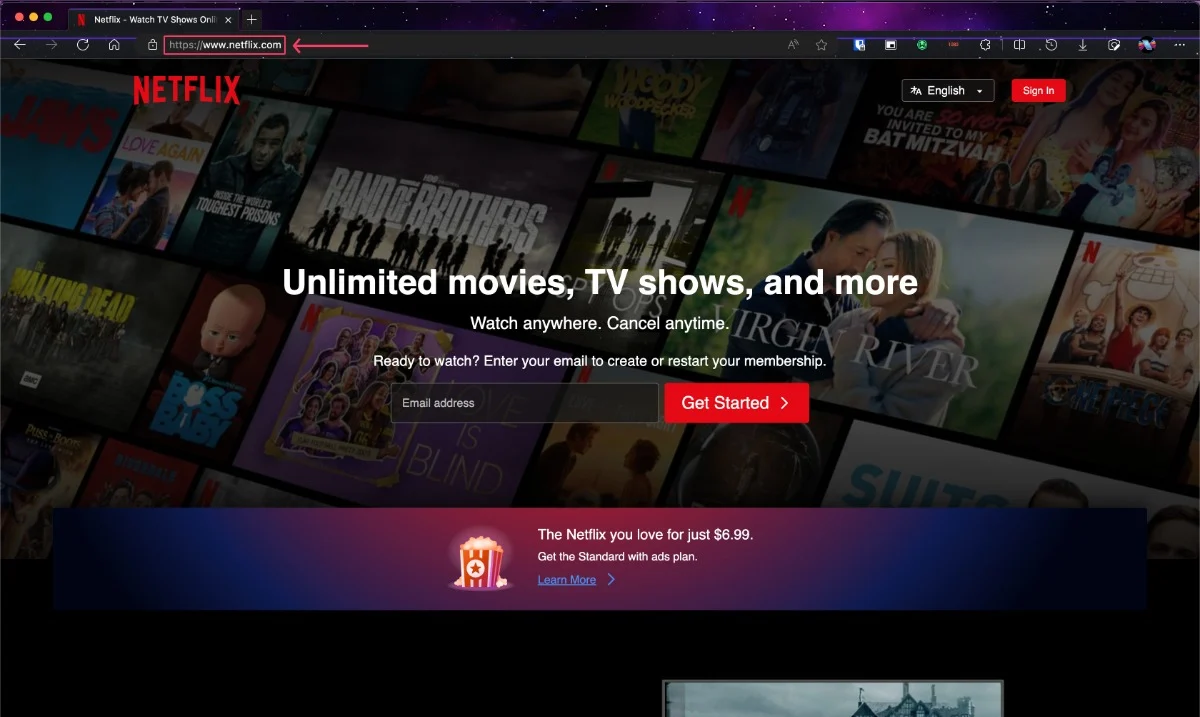 netflix website