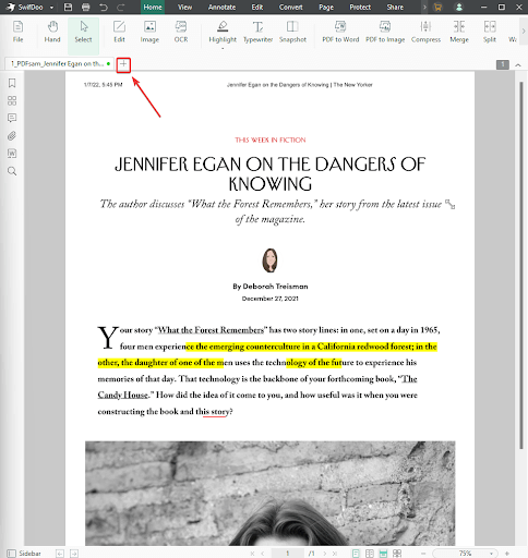 PDF konvertieren