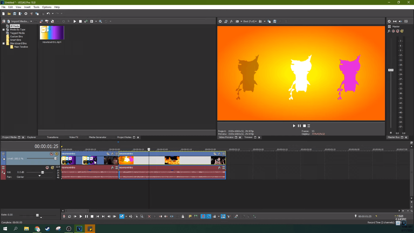 Vegas Pro