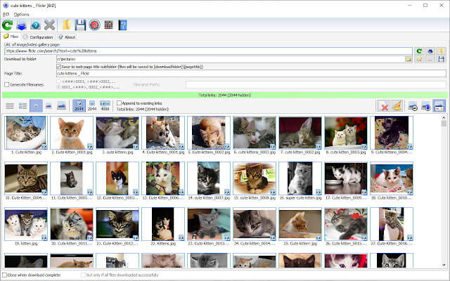 Downloader de imagens em massa