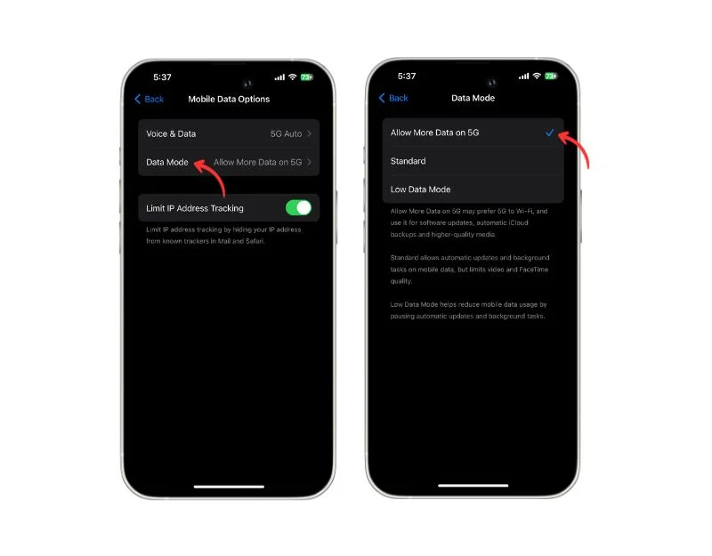 low data mode settings on iphone
