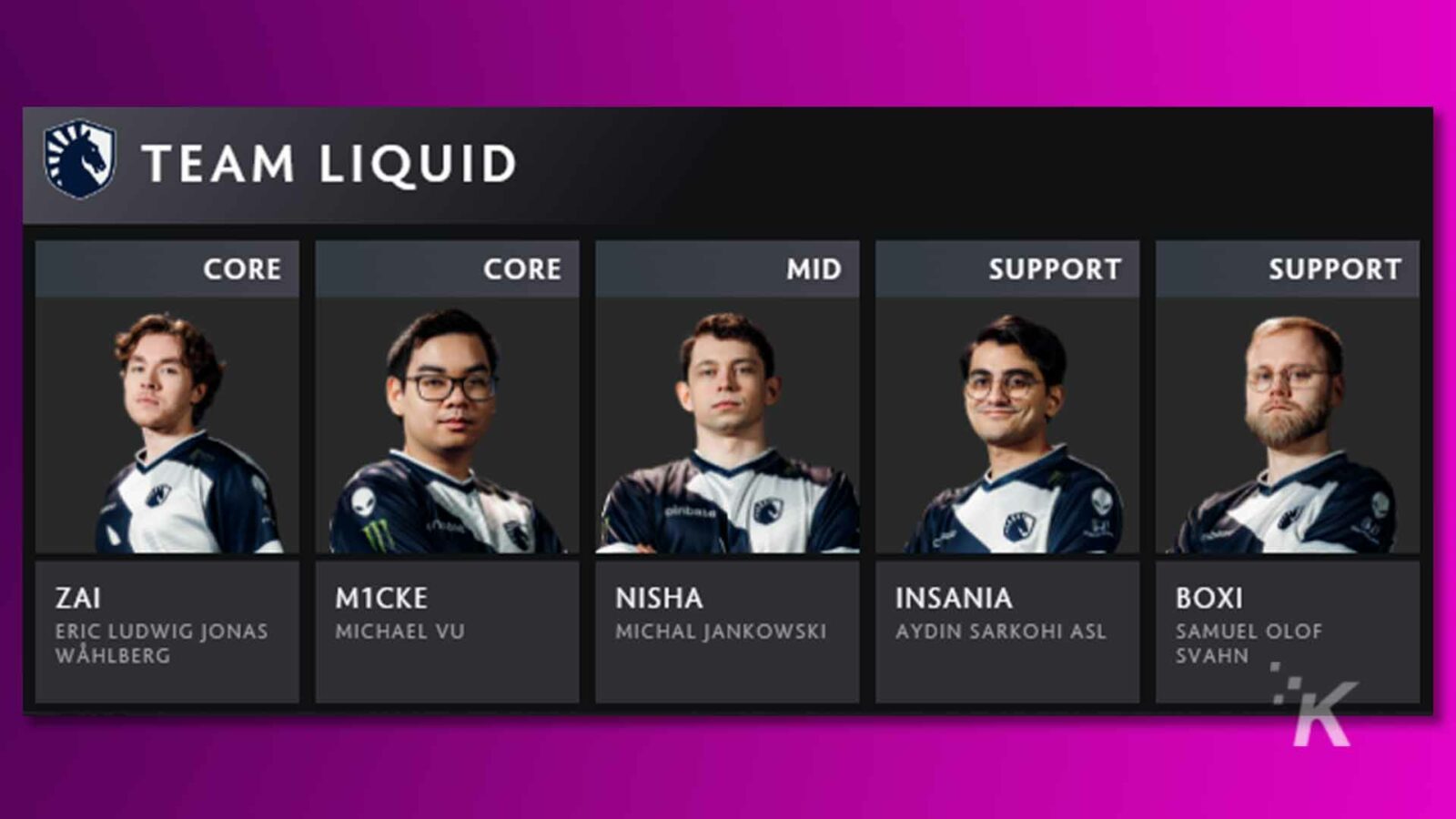 L'immagine mostra l'elenco della squadra di eSport professionistica, Team Liquid.