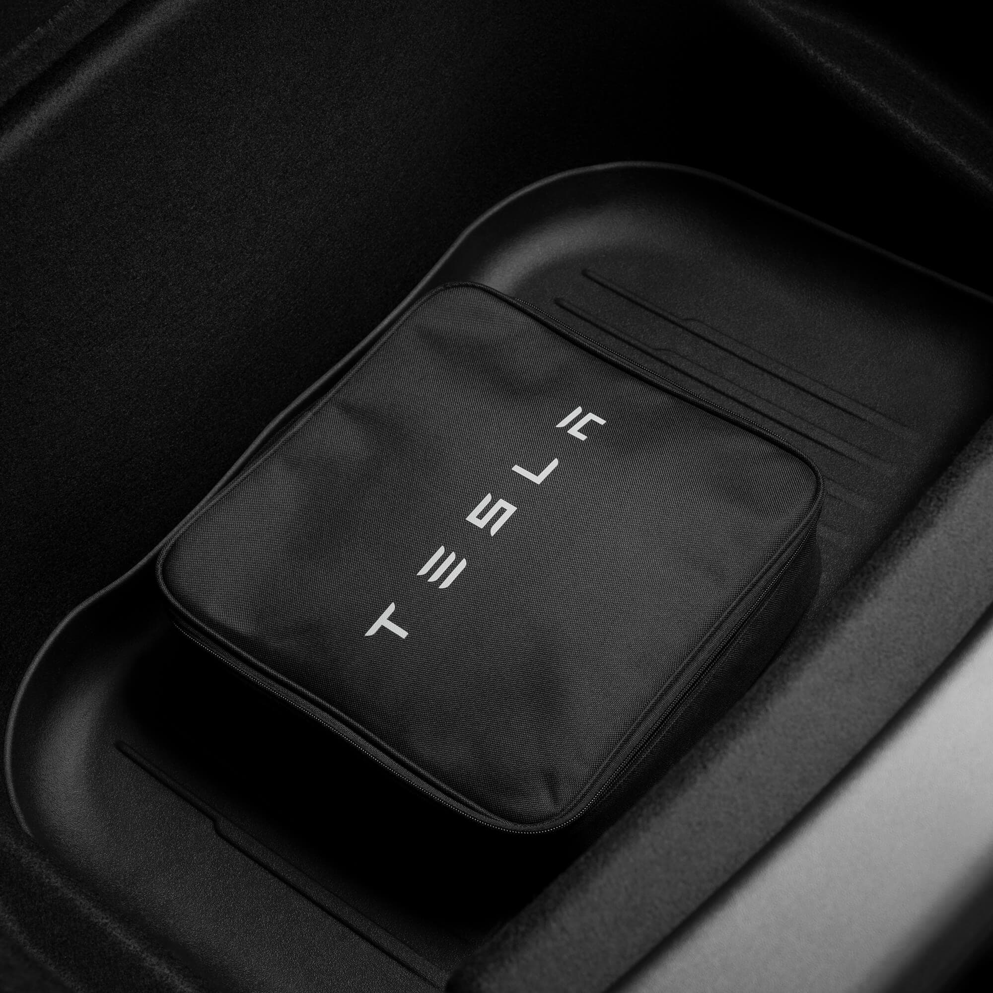 Tesla mobile connector