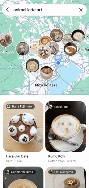 Imagini Google Maps Animal Latte Art