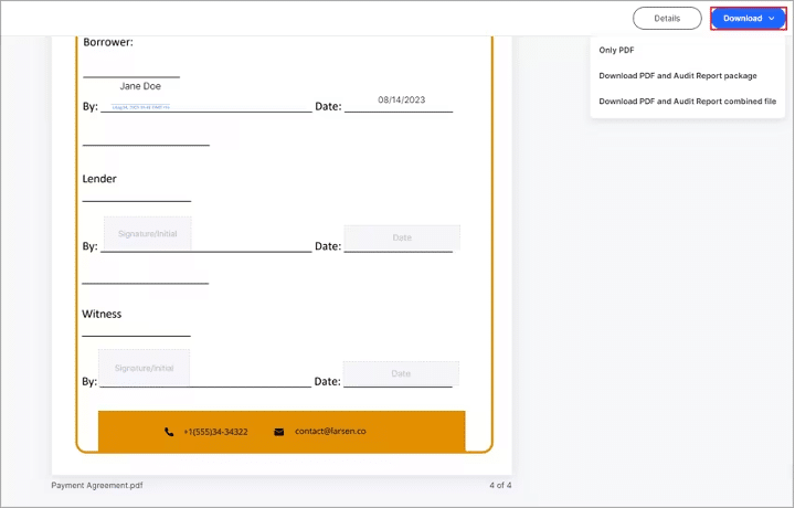 download pdf audit report