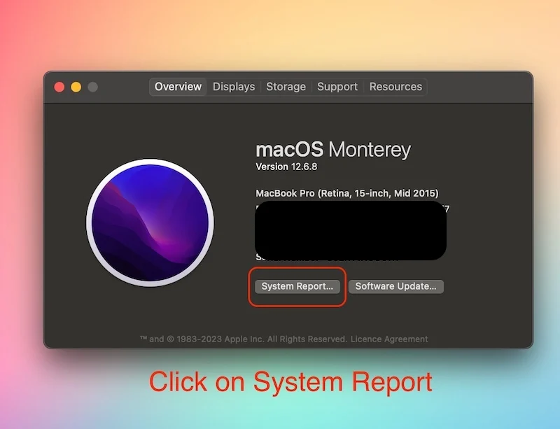 click on system report