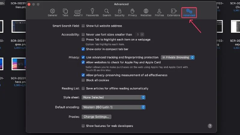 safari advanced settings