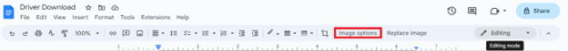 Check the Image option in Google Doc