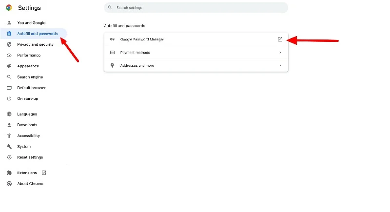 google password manager in the google chrome