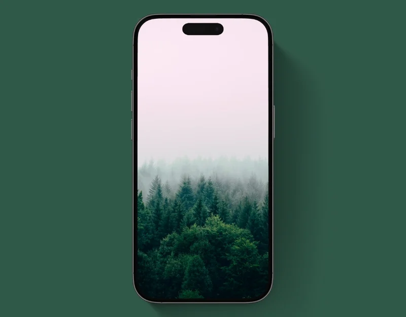 misty forest gradient wallpaper