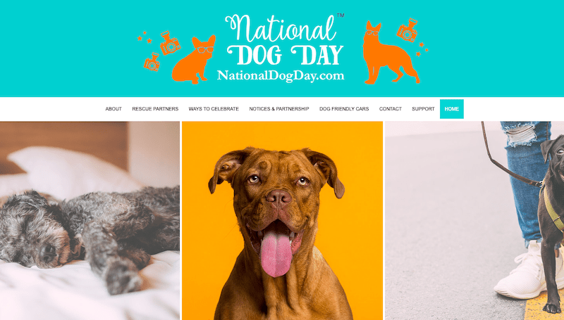 Примеры веб-сайтов Wix — Национальный день собак