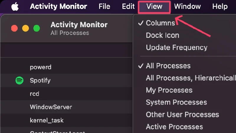 view tab in activity monitor