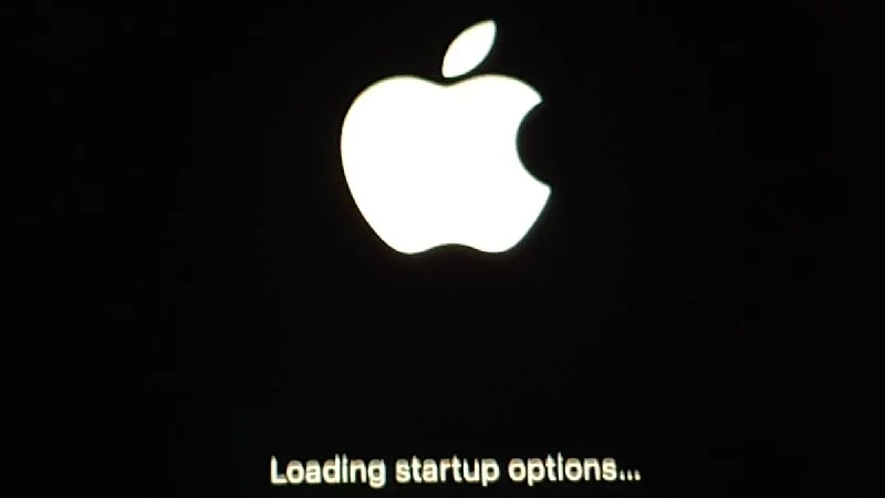 loading startup options