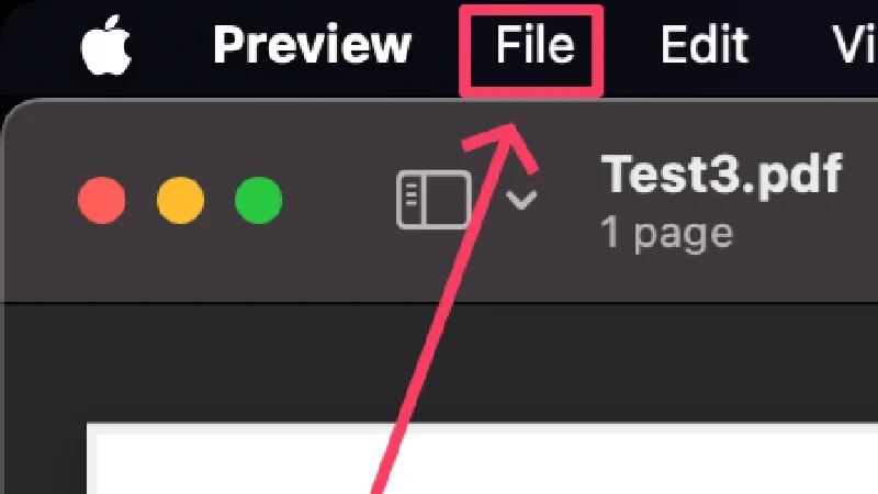 file icon in status bar