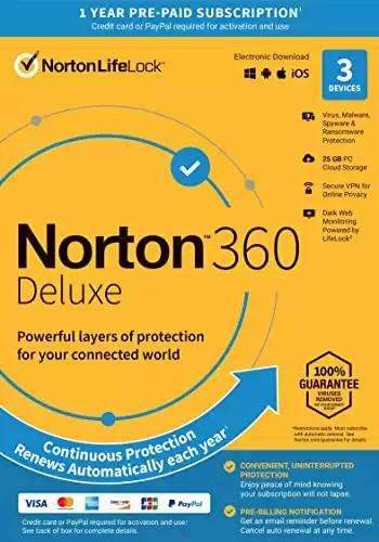 Norton 360 deluxe [12 month]