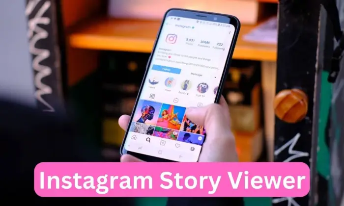 Beste Instagram Story Viewer-Tools