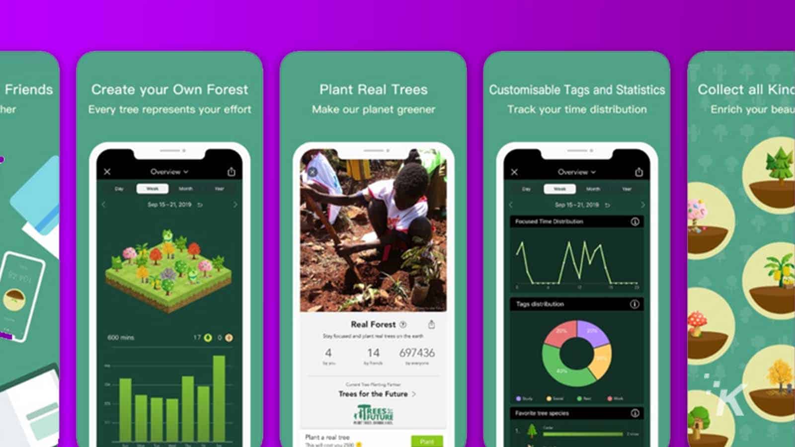 Aplicación de productividad forestal en android e ios