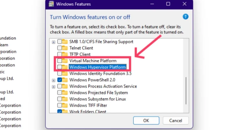 disable virtualization options