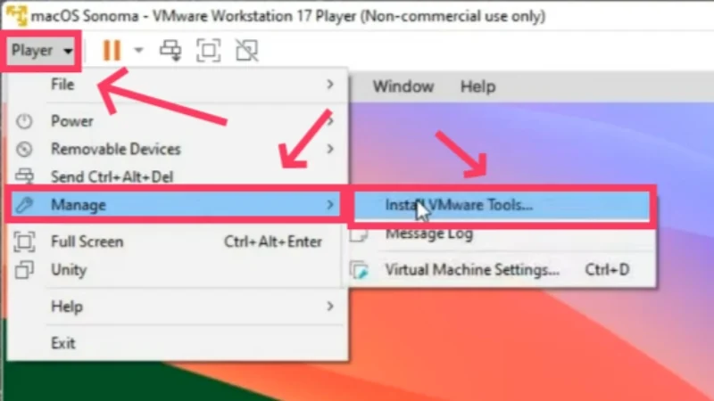 install vmware tools