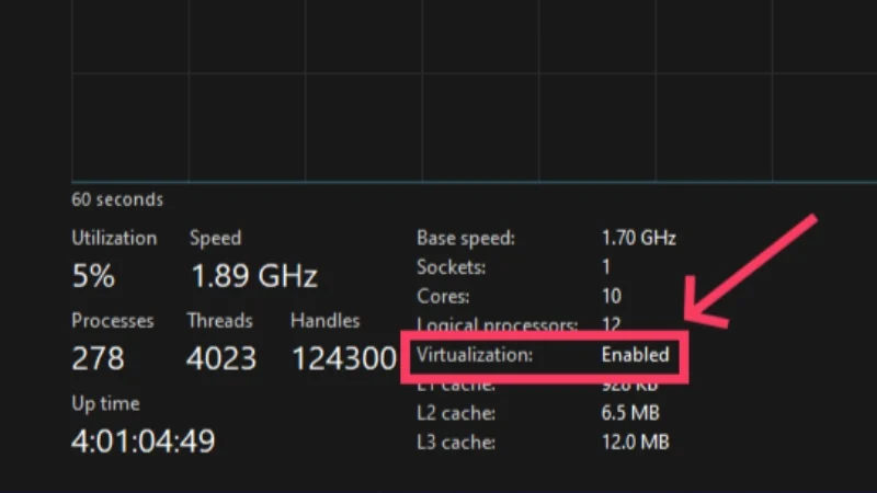 check for virtualization on windows