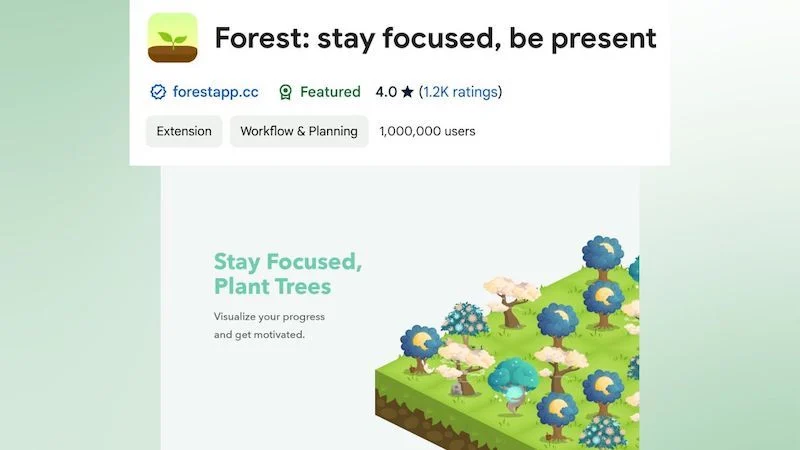 forest chrome extension