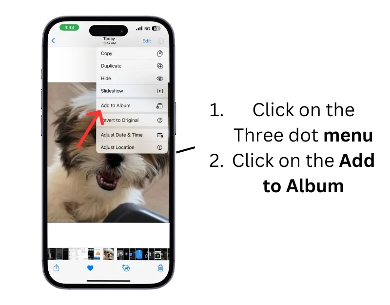 add image to album in the photos app