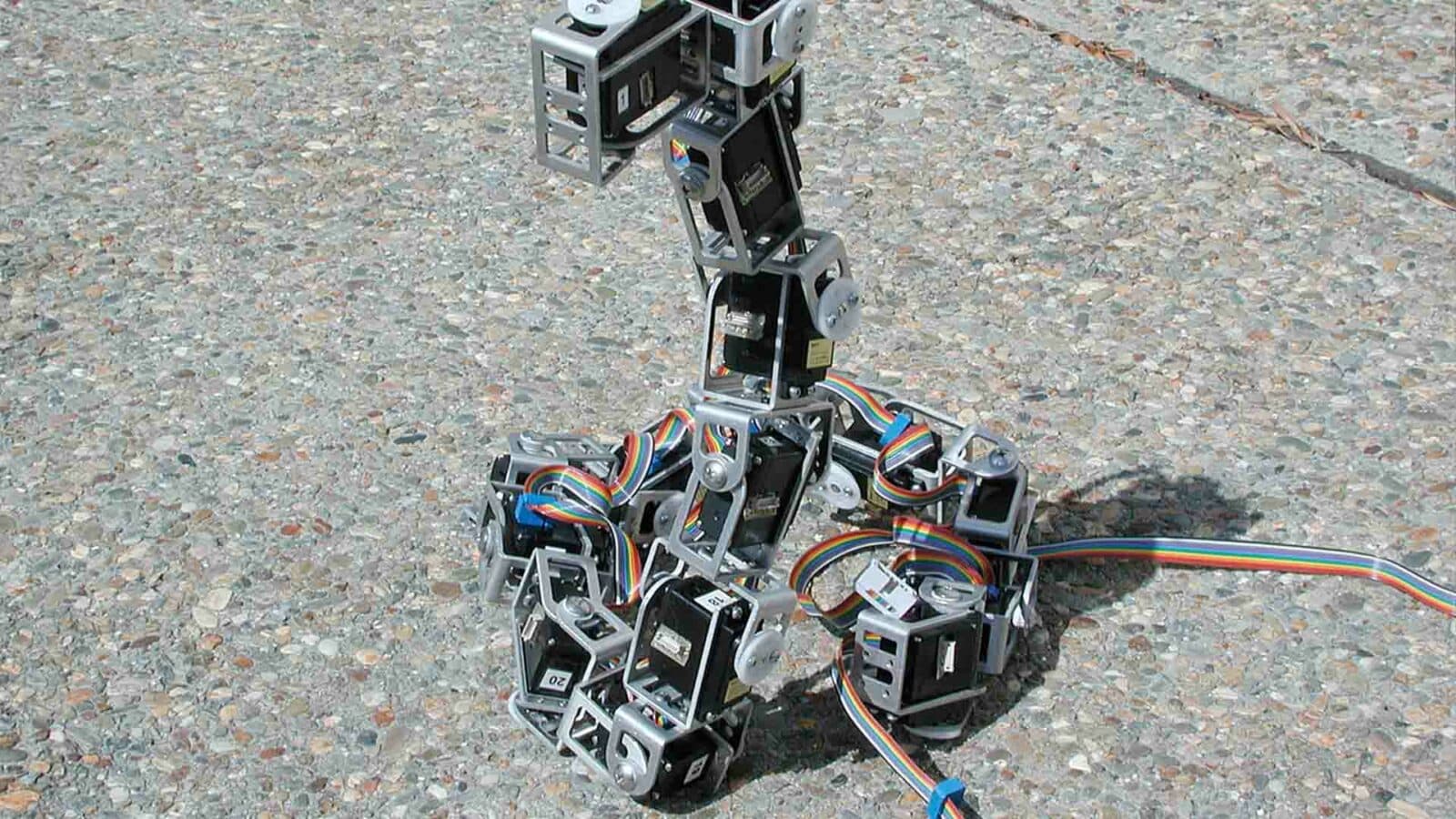 Cacing seperti robot