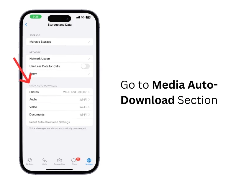 media auto download section