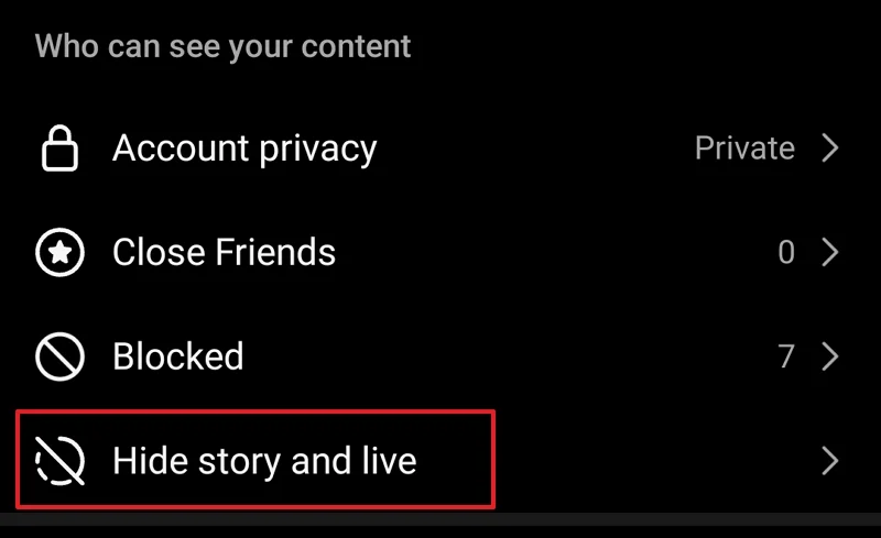instagram story and live privacy