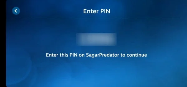 enter the pin