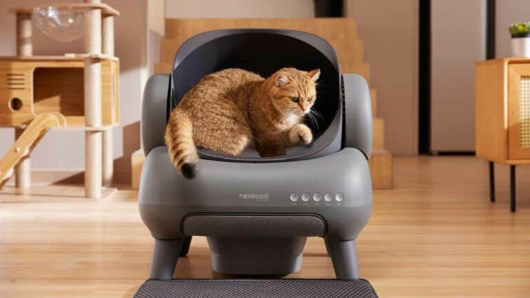 Neakasa m1 litter box.