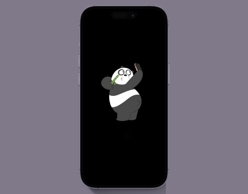 panda's selfie time iphone wallpaper