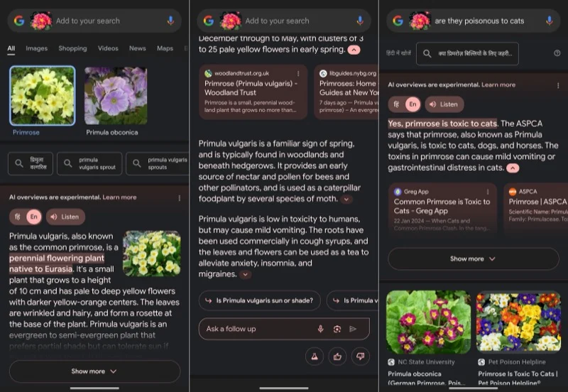 circle to search results for the primrose plant with sge.