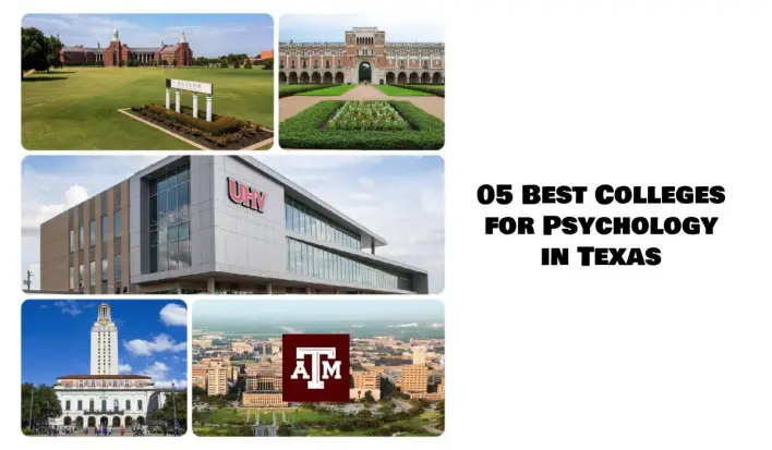 05 melhores faculdades de psicologia no Texas