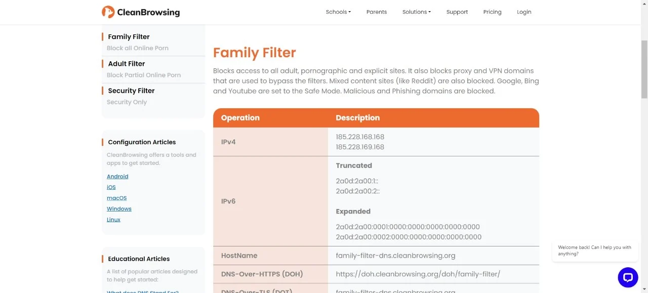 cleanbrowsing dns server