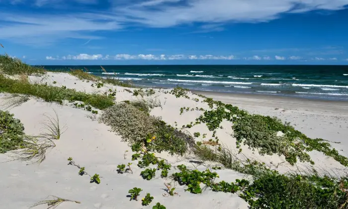 Padre Island National Seashore