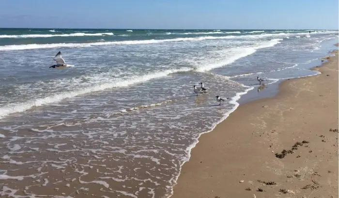 Isola di South Padre