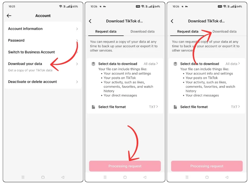 download tiktok data