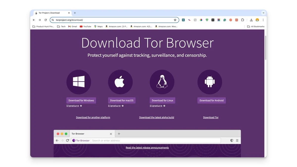tor browser to unblock websites