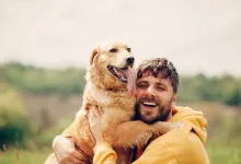 10 Perlengkapan Penting yang Dibutuhkan Setiap Pemilik Anjing Baru