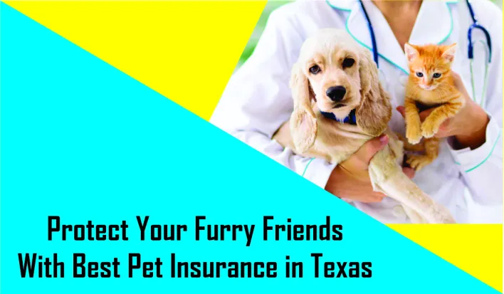 Protégez vos amis à quatre pattes avec la meilleure assurance pour animaux de compagnie au Texas