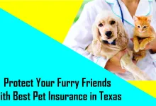 Proteja a sus amigos peludos con el mejor seguro para mascotas en Texas