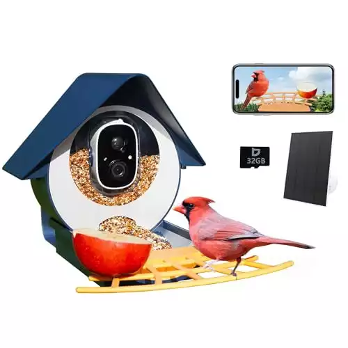 Birdkiss Smart Bird Feeder mit Kamera