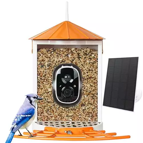 Birdkiss Smart Bird Feeder dengan Kamera Tenaga Surya