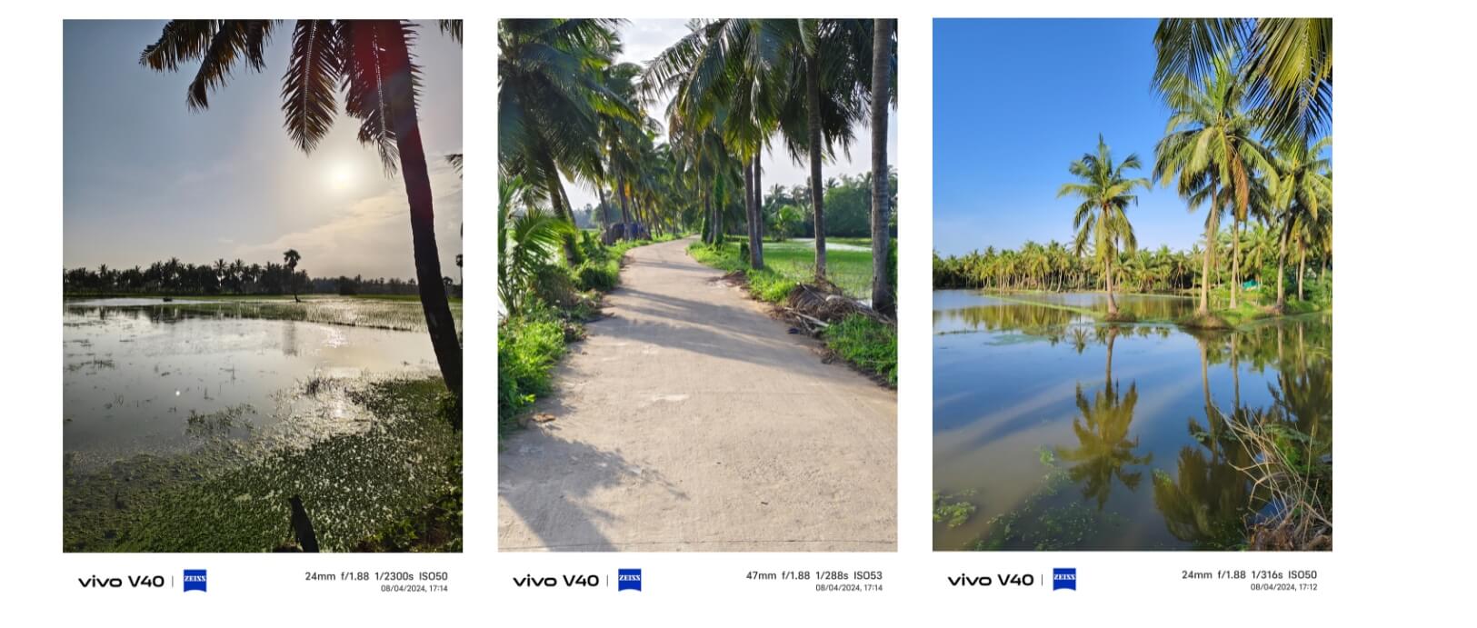 vivo v40 camera samples